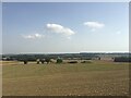 Farmland near Bradeley Farm