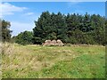 A stack of old straw bales at Badger Wood