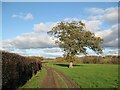 The Cumbria Way near Sebergham Hall