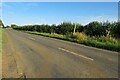 Footpath to Millow from Biggleswade Road