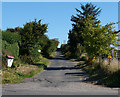 Minor road heading north from Sliddery, Arran