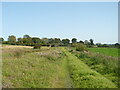 Track at former Law Colliery site