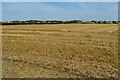 Farmland by Northfield Road