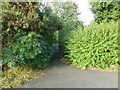 Path between Tangmere Close and The Parkway