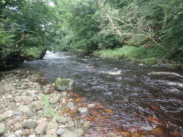 River Cover © Marathon cc-by-sa/2.0 :: Geograph Britain and Ireland