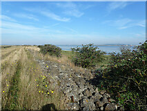 TQ7479 : Sea wall, Cliffe Marshes by Robin Webster
