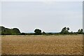 Colkirk: Harvested field