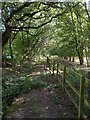 Footpath Past High Birch Farm