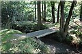 Footbridge in the Woods