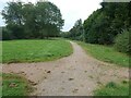 Junction of paths off Edward Road