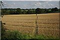 Footpath on South Hill