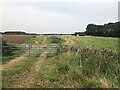 NU0243 : Farm track, New Haggerston by Richard Webb