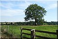 Countryside near Middle Barton