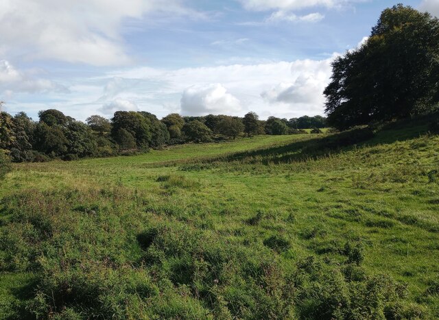 Scrubby grass field © Jim Smillie :: Geograph Britain and Ireland