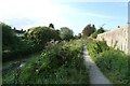 Path beside Beverley and Burnmanston Drain