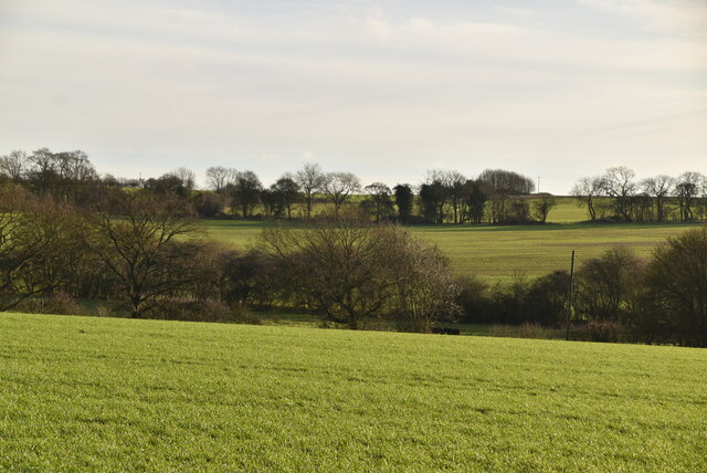 rolling-arable-land-n-chadwick-cc-by-sa-2-0-geograph-britain-and