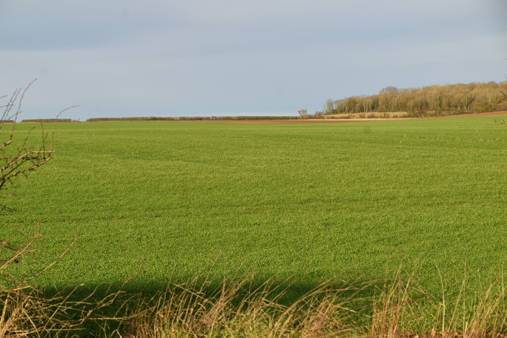 the-most-arable-countries-worldwide-worldatlas