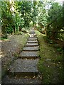 Steps up the Glen