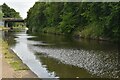 Bridgewater Canal