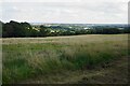 Field below Littlemoor