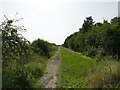 Footpath to Brough