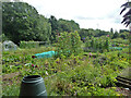 Allotments off Hale Road