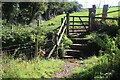 Gate and steps at West Noyes Stream