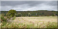 Staffordshire farmland north-west of Branston