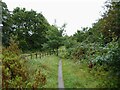 Cycle Route near M60 junction 8