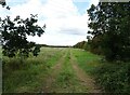 Farm track off Glendon Road