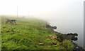 Busbie Muir Reservoir in morning mist