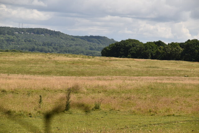 Grasslands © N Chadwick cc-by-sa/2.0 :: Geograph Britain and Ireland