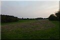 Hay making on Heslington East