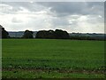 SP7193 : Crop field off Melton Road (B6047) by JThomas