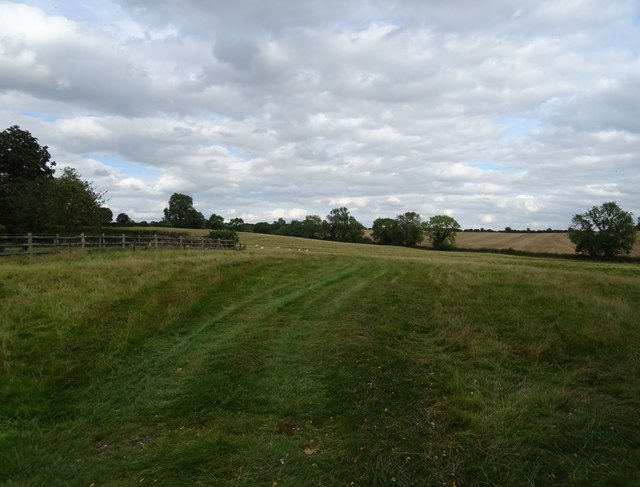 Grazing, Kibworth Harcourt © JThomas :: Geograph Britain and Ireland