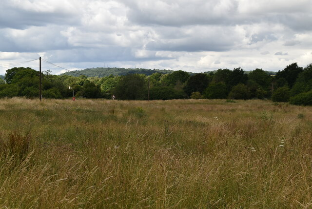 Grasslands © N Chadwick :: Geograph Britain and Ireland