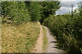 Tandridge Border Path