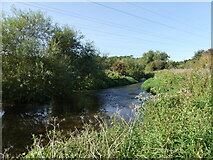 SK5702 : River Biam from near Pebble Beach, Aylestone Meadows, Leicester by Ruth Sharville