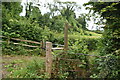 Footpath off Spring Bottom Lane