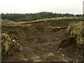 Small quarry, Hillend Knowe