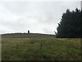 Gap in the trees on Craigdullyeart Hill