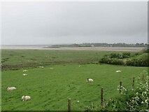 SD4456 : View towards the Lune estuary by Les Hull