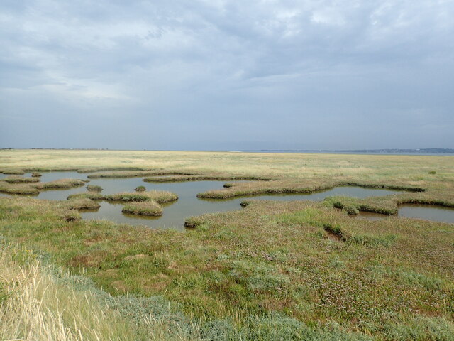 The Swale National Nature Reserve © Marathon cc-by-sa/2.0 :: Geograph ...