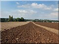 Ploughing near Southwell