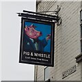 The sign of the Pig & Whistle