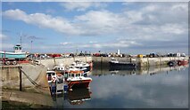 NU2232 : The Inner Harbour at Seahouses by Des Blenkinsopp
