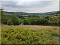 Grassland near Troed-yr-esgair