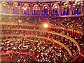 Inside the Royal Albert Hall