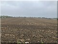 Stubble field on Knop Law