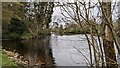 River Tay from footpath